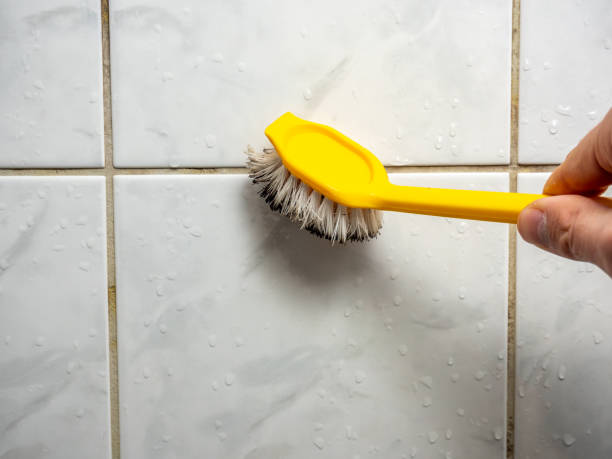 Best Toxic Mold Removal  in Montour Falls, NY
